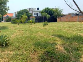  Terreno (Parcela) en venta en Ricaurte, Cundinamarca, Ricaurte