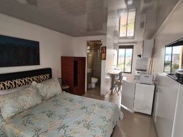 1 Bedroom Condo for rent in Cundinamarca, Bogota, Cundinamarca