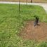  Land for rent in Samborondon, Guayas, Samborondon, Samborondon, Guayas