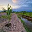  Terreno (Parcela) en venta en Acacias, Meta, Acacias