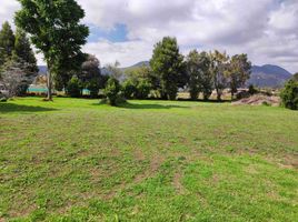  Grundstück zu verkaufen in Bogota, Cundinamarca, Bogota, Cundinamarca