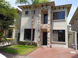 3 Habitación Casa en alquiler en Guayas, Guayaquil, Guayaquil, Guayas