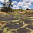  Land for sale in Valle, Azuay, Valle