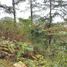  Land for sale in Baguio City, Cordillera, Baguio City, Benguet