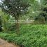  Terreno (Parcela) en venta en Tanay, Calabarzon, Tanay