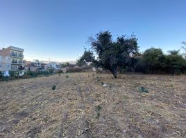  Land for sale in Lago De Chapala, Jalisco, Lago De Chapala