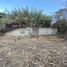  Land for sale in Lago De Chapala, Jalisco, Lago De Chapala