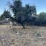  Land for sale in Lago De Chapala, Jalisco, Lago De Chapala