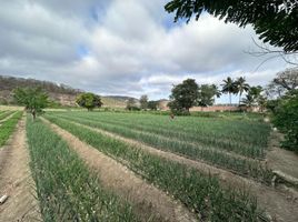  Land for sale in Sucre, Manabi, Charapoto, Sucre