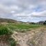  Land for sale in Charapoto, Sucre, Charapoto