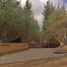  Land for sale in Chile, Navidad, Cardenal Caro, Libertador General Bernardo Ohiggins, Chile