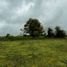  Terreno (Parcela) en venta en Araucanía, Nueva Imperial, Cautín, Araucanía