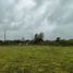  Terreno (Parcela) en venta en Araucanía, Nueva Imperial, Cautín, Araucanía