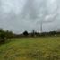  Terreno (Parcela) en venta en Araucanía, Nueva Imperial, Cautín, Araucanía