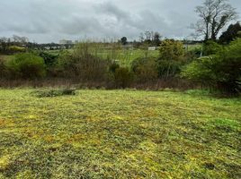  Terreno (Parcela) en venta en Araucanía, Nueva Imperial, Cautín, Araucanía