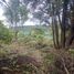  Land for sale in Llanquihue, Los Lagos, Puerto Montt, Llanquihue