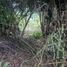  Land for sale in Llanquihue, Los Lagos, Puerto Montt, Llanquihue
