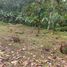  Land for sale in Selemadeg, Tabanan, Selemadeg