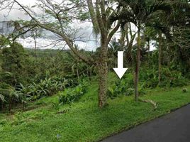  Land for sale in Selemadeg, Tabanan, Selemadeg