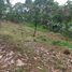  Land for sale in Selemadeg, Tabanan, Selemadeg