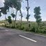  Land for sale in Cebu Central Visayas, Ronda