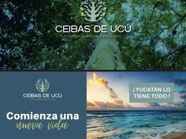  Grundstück zu verkaufen in Merida, Yucatan, Merida, Yucatan