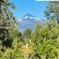  Land for sale in Araucania, Pucon, Cautin, Araucania