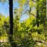  Land for sale in Araucania, Pucon, Cautin, Araucania