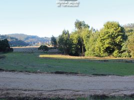  Land for sale in Cardenal Caro Libertador General Bernardo Ohiggins, Navidad, Cardenal Caro, Libertador General Bernardo Ohiggins, Chile