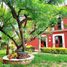 2 Bedroom Apartment for rent in Del Centro, Oaxaca, Del Centro