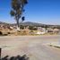  Grundstück zu verkaufen in Valle De Juarez, Jalisco, Valle De Juarez