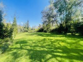  Land for sale in Santiago, Santiago, Santiago, Santiago