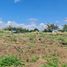  Land for sale in Calamba City, Calabarzon, Calamba City