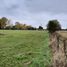  Terreno (Parcela) en venta en Los Ríos, Mariquina, Valdivia, Los Ríos