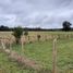  Terreno (Parcela) en venta en Los Ríos, Mariquina, Valdivia, Los Ríos