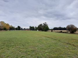  Terreno (Parcela) en venta en Los Ríos, Mariquina, Valdivia, Los Ríos