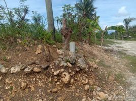  Land for sale in Dumanjug, Cebu, Dumanjug