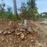  Land for sale in Cebu Central Visayas, Dumanjug