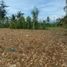  Land for sale in Dumanjug, Cebu, Dumanjug