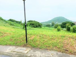  Terreno (Parcela) en venta en Calamba City, Calabarzon, Calamba City, Laguna