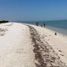  Grundstück zu verkaufen in Celestun, Yucatan, Celestun