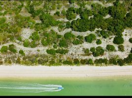  Grundstück zu verkaufen in Celestun, Yucatan, Celestun