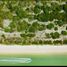  Land for sale in Celestun, Yucatan, Celestun