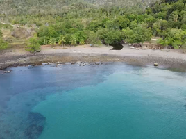  Grundstück zu verkaufen in Palawan, Mimaropa, Puerto Princesa City