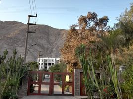  Terreno (Parcela) en venta en Lurigancho, Lima, Lurigancho