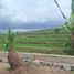  Grundstück zu verkaufen in Canggu, Bali, Canggu, Badung