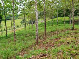  Terrain for sale in La Chorrera, Panama Oeste, Mendoza, La Chorrera