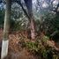  Land for sale in Zapotitlan, Puebla, Zapotitlan