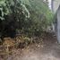  Land for sale in Zapotitlan, Puebla, Zapotitlan