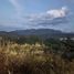  Land for sale in Zapotitlan, Puebla, Zapotitlan